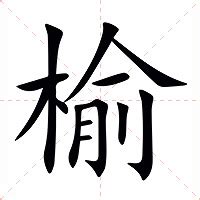 榆意思|榆（汉语文字）